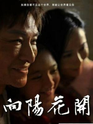 孤岛余晖